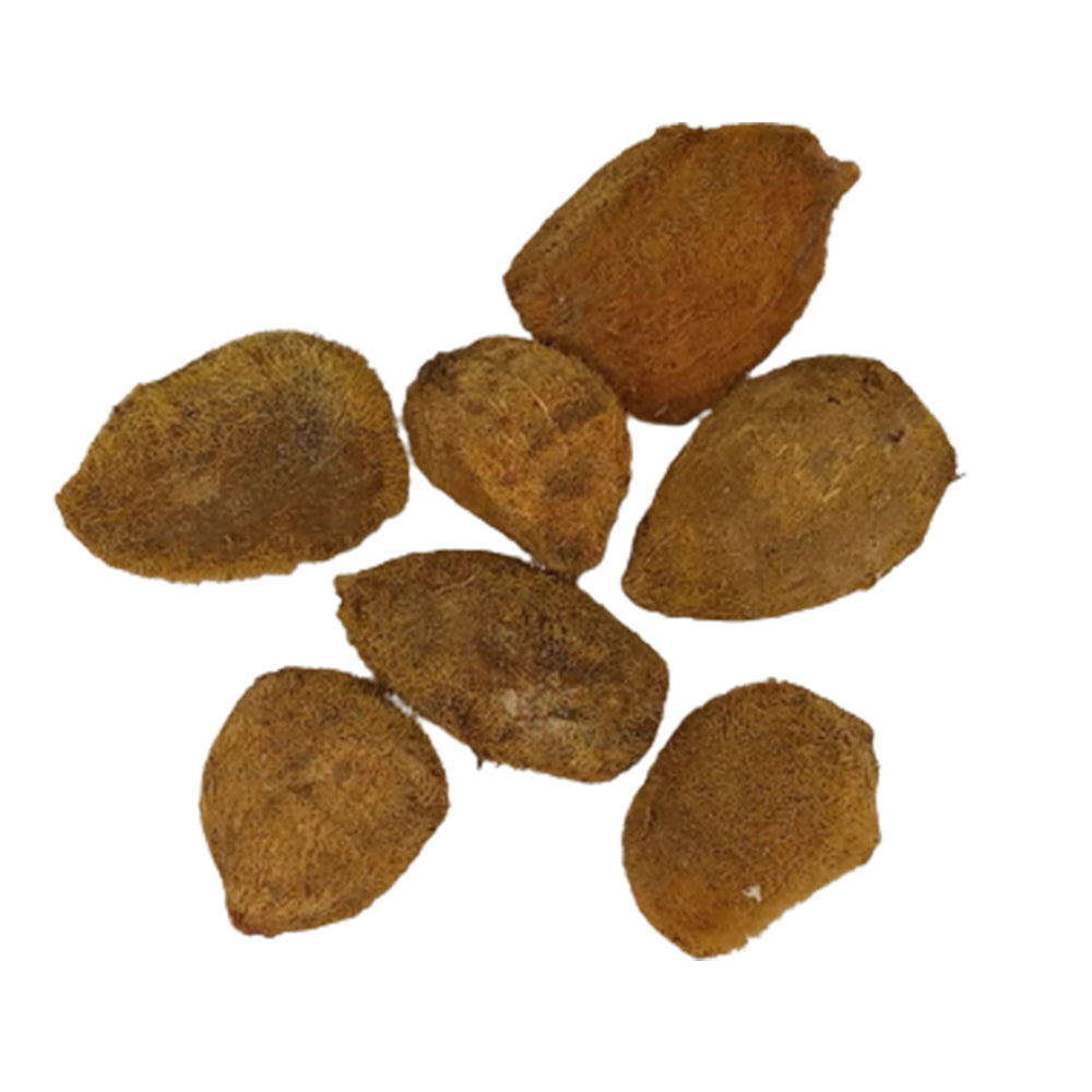 One Eye Coconut (Ekakshi Nariyal)