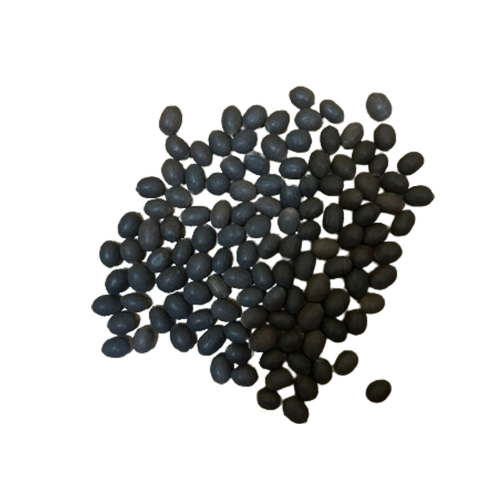 Kamalgatta Seeds (Lotus Seeds)