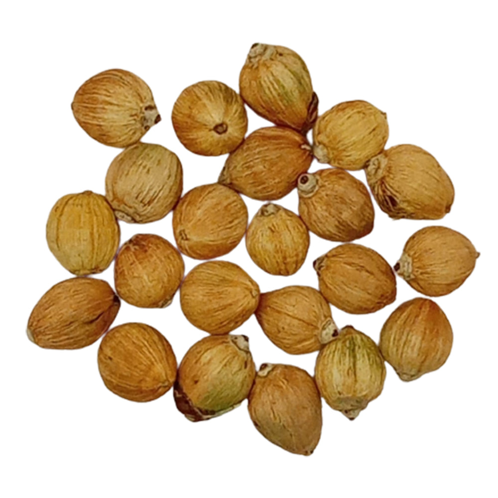 Laghu Nariyal - One eye coconut (1inch)