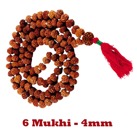 6 Mukhi Rudraksha Mala