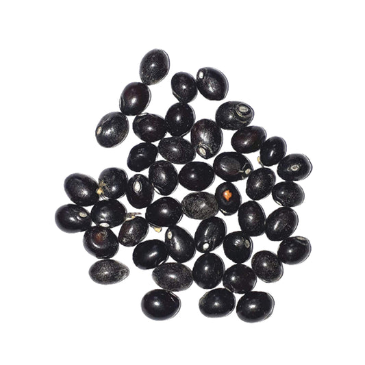 Kala Gunja Beads (Black Gunja)