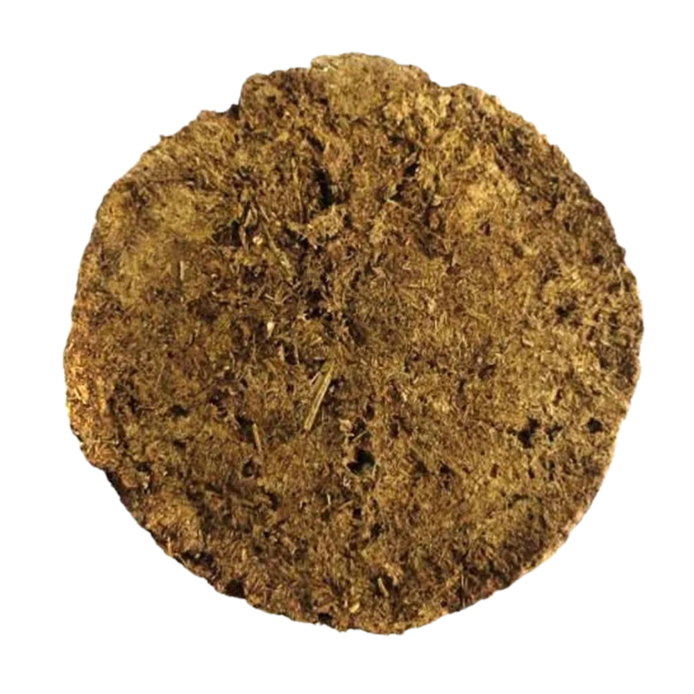 Cow Dung Cake