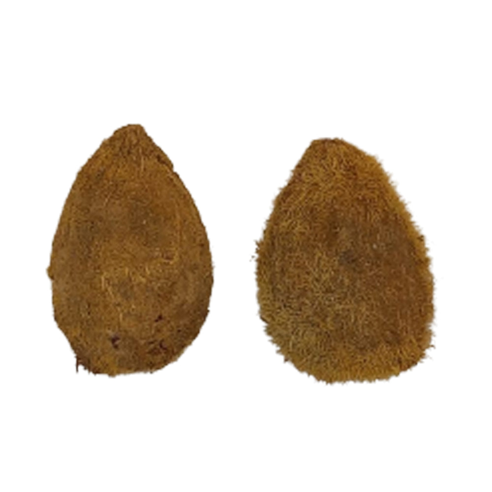 One Eye Coconut (Ekakshi Nariyal)