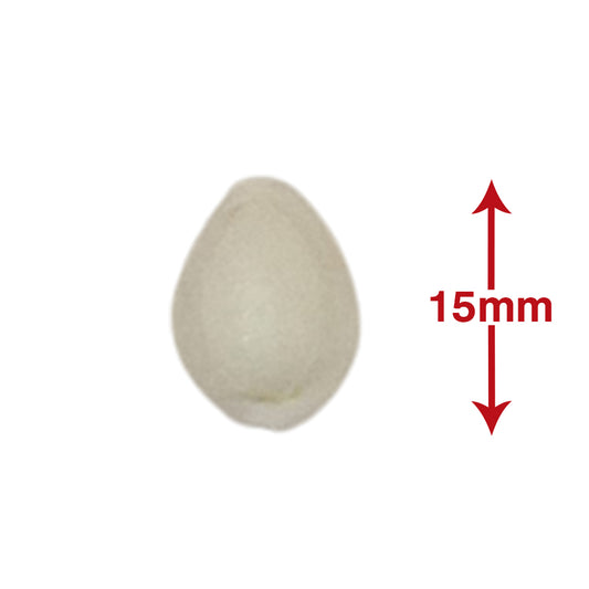 Puja Kaudi | Kauri | Cowri Sea Shell (White | 15mm)