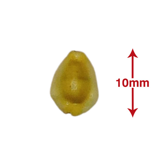 Puja Kaudi | Kauri | Cowri Sea Shell (Yellow | 10mm)